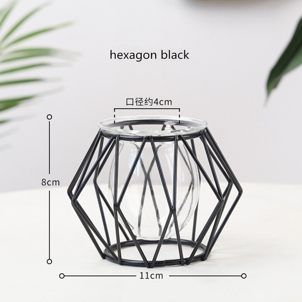 Iron Line Flower Vase Metal Plant Holder Modern Home Decor Vases Ornament Nordic Style Golden Black Glass Hydroponic Container.